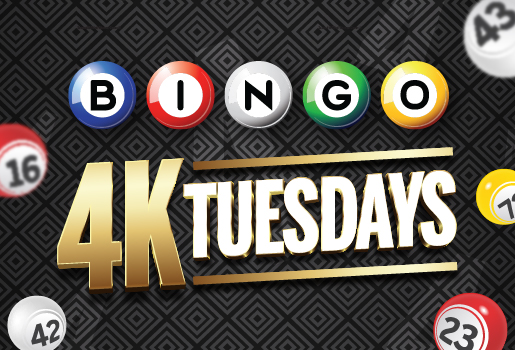 Bingo 4K Tuesdays